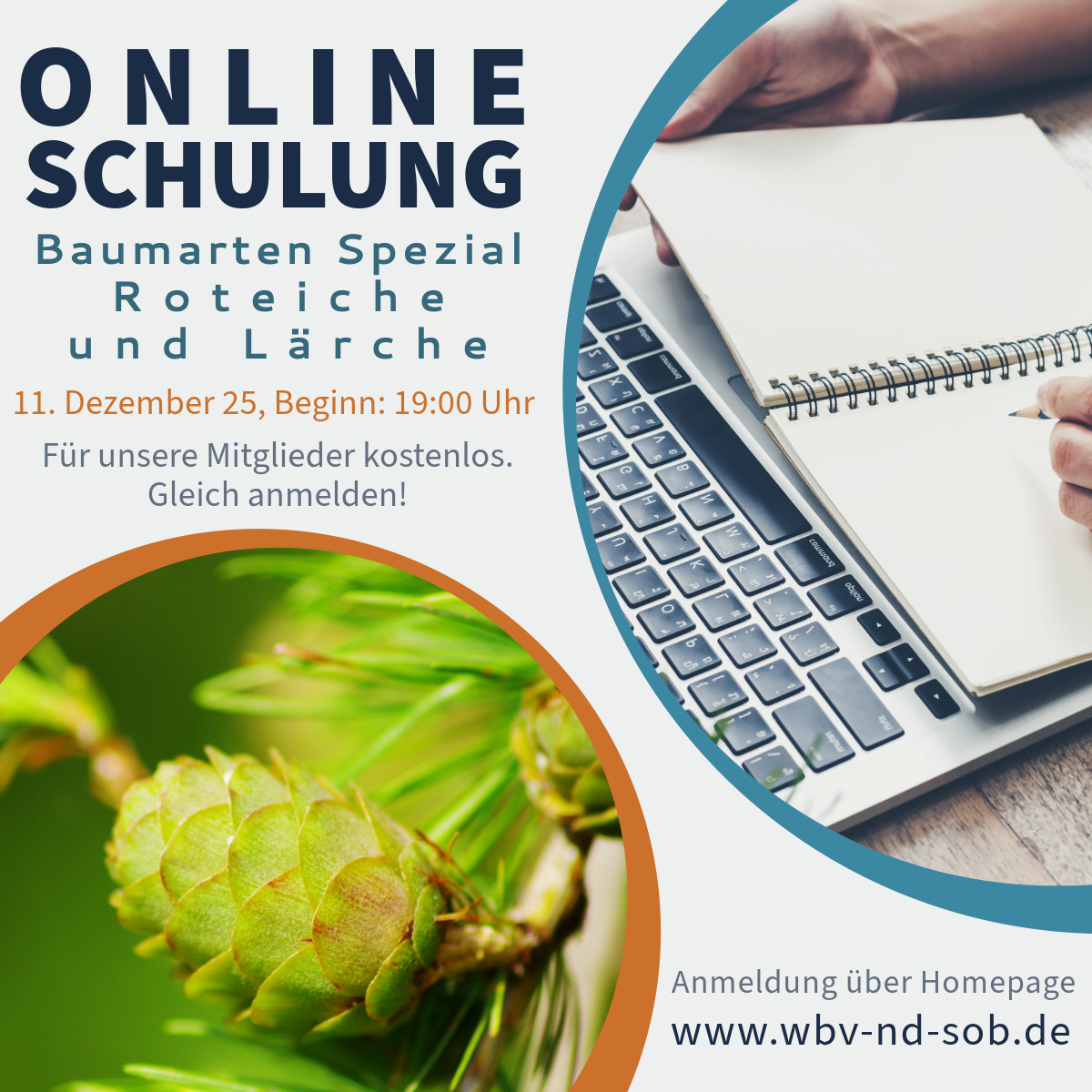 OnlineSchulung RoteicheLarche