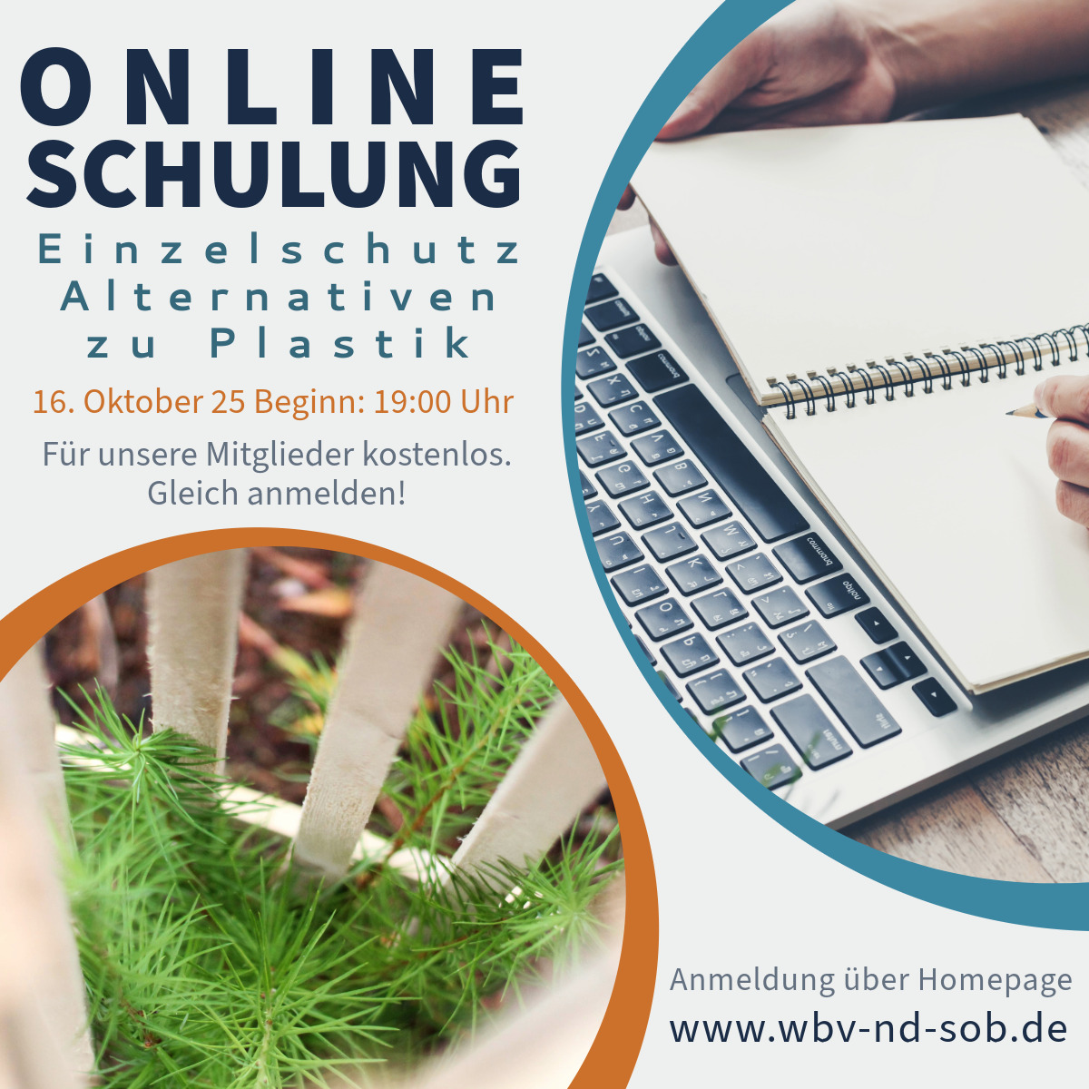 OnlineSchulung Krankheiten Laub