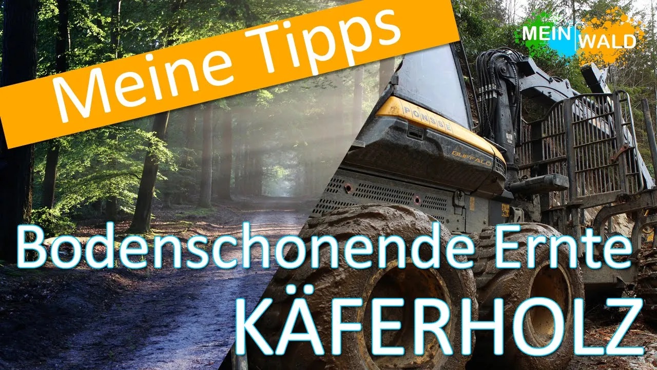 Kaeferholz Bodenschonend