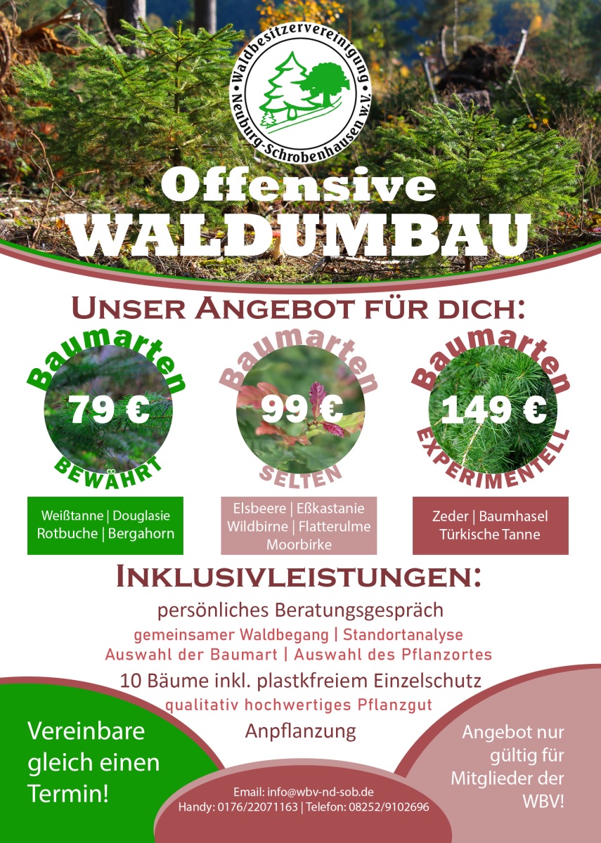 Offensive Waldumbau 1200px
